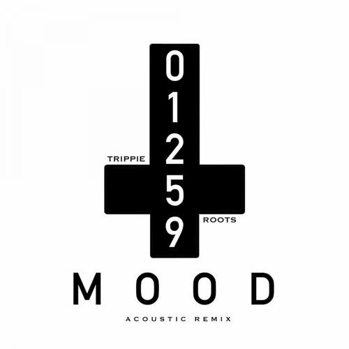 01259 Mood (Acoustic Remix)