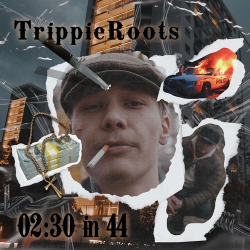 Trippie Roots-02:30 in 44