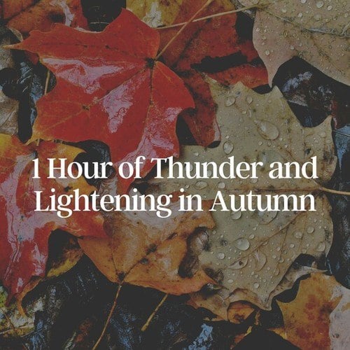 1 Hour of Thunder and Lightening in Autumn