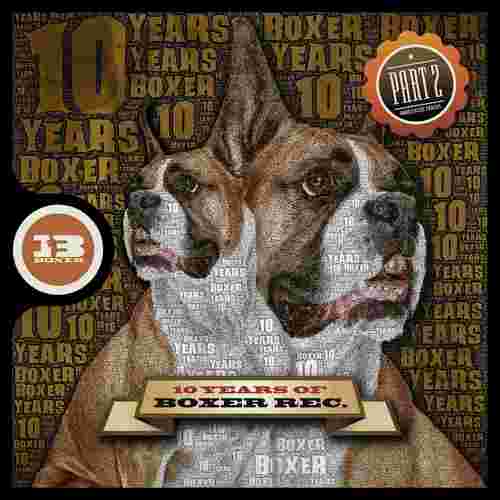 Various Artists-10 Years of Boxer, Pt. 2
