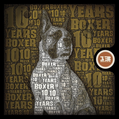 Various Artists-10 Years of Boxer