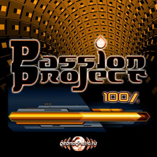 Passion Project-100%