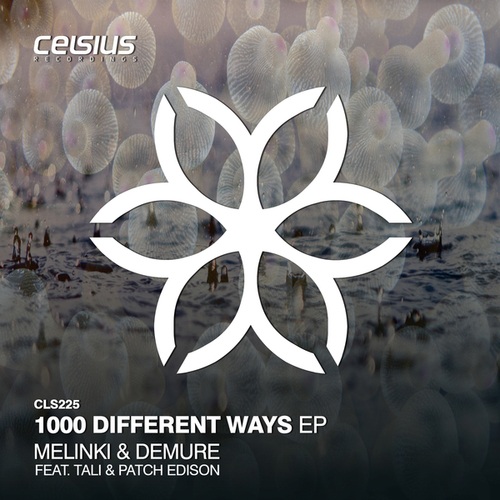 Melinki, Demure, Tali, Patch Edison-1000 Different Ways EP