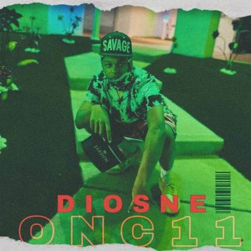 Diosne-11