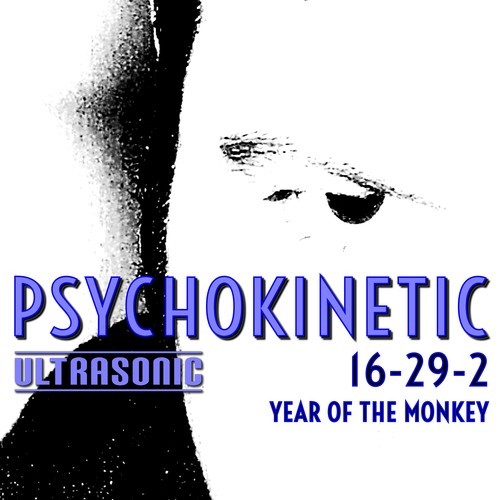 Psychokinetic-16-29-2 Year of the Monkey