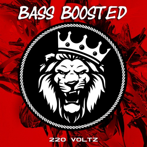 Bass Boosted-220 Voltz