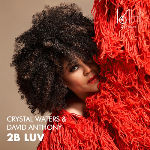 Crystal Waters, David Anthony-2B Luv