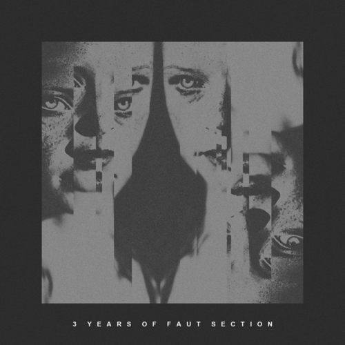Various Artists-3 Years Of Faut Section