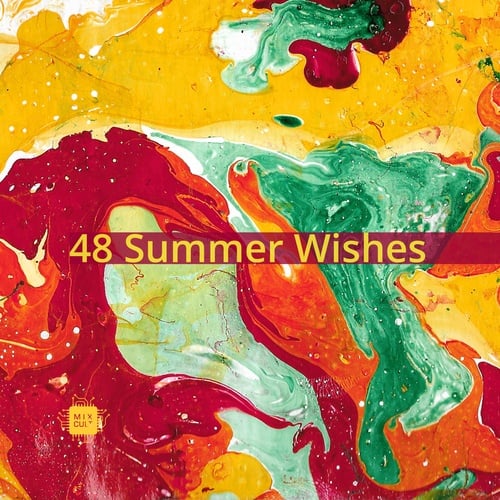 Various Artists-48 Summer Wishes