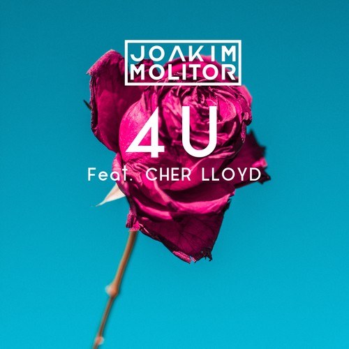 Joakim Molitor, Cher Lloyd-4U