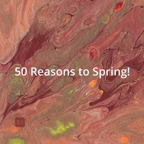 Various Artists-50 Reasons to Spring!
