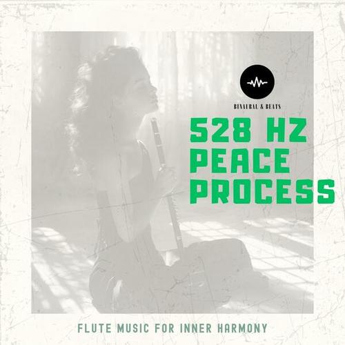 528 Hz Peace Process: Flute Music for Inner Harmony