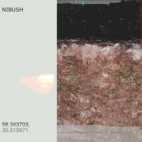 Nibush-56.343703, 30.515671