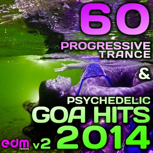 Various Artists-60 Progressive Trance & Psychedelic Goa Hits 2014