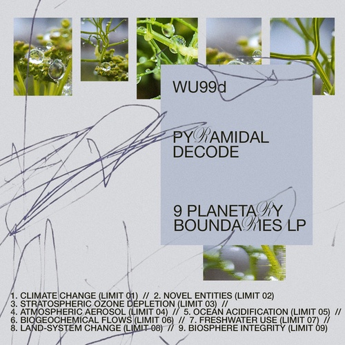 Pyramidal Decode-9 Planetary Boundaries