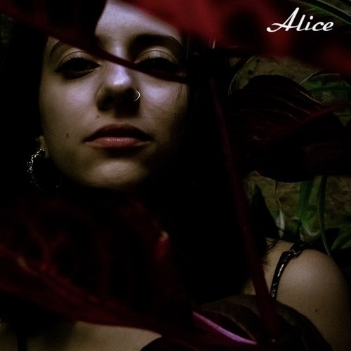 Sarah Krimson-Alice