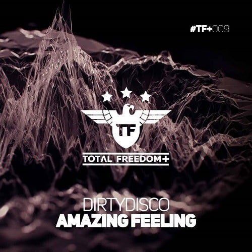 Dirtydisco-Amazing Feeling