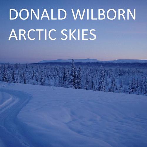 Donald Wilborn-Arctic Skies