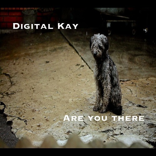 Digital Kay-Are You There