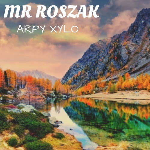 Mr Roszak-Arpy Xylo