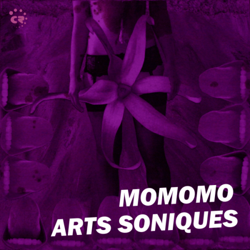 Momomo-Arts Soniques