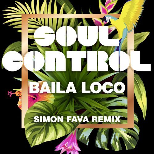 Soul Control-Baila Loco (simon Fava Remix)