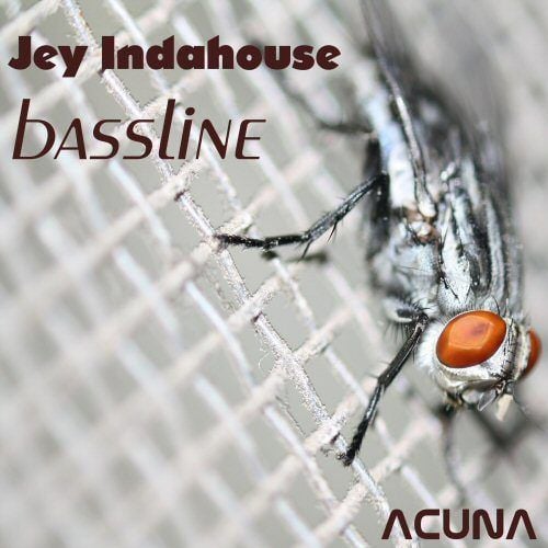 Jey Indahouse-Bassline