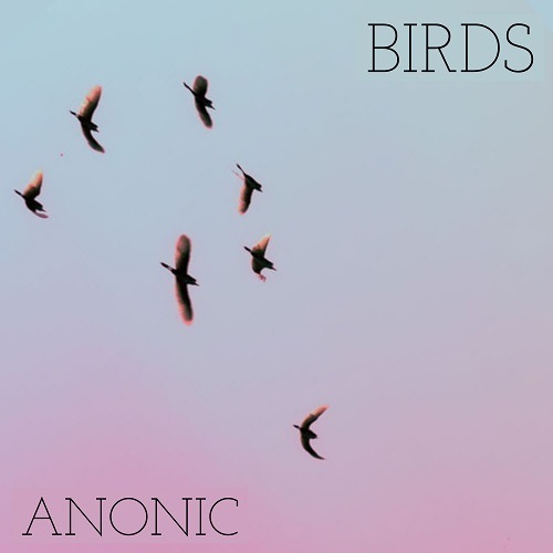 Anonic-Birds