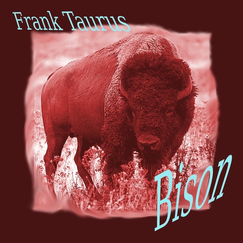 Frank Taurus-Bison