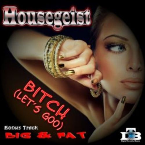 Housegeist-Bitch (lets Goo)