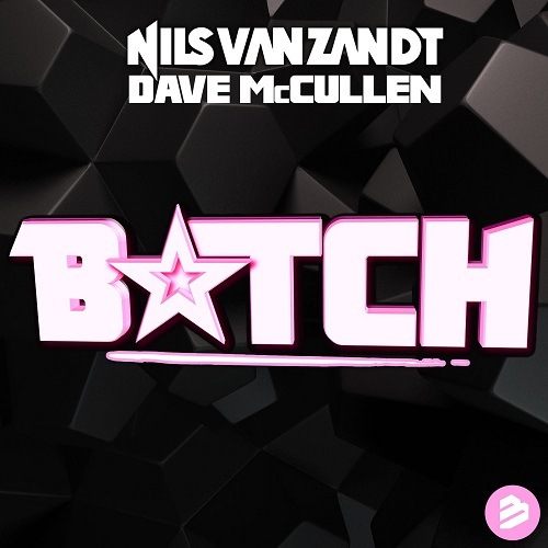 Nils Van Zandt X Dave Mccullen-Bitch