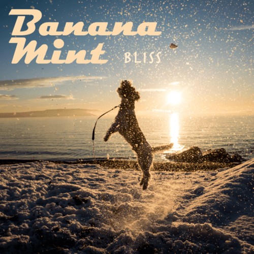 Banana Mint-Bliss