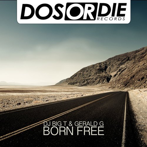 Dj Big T & Gerald G.-Born Free