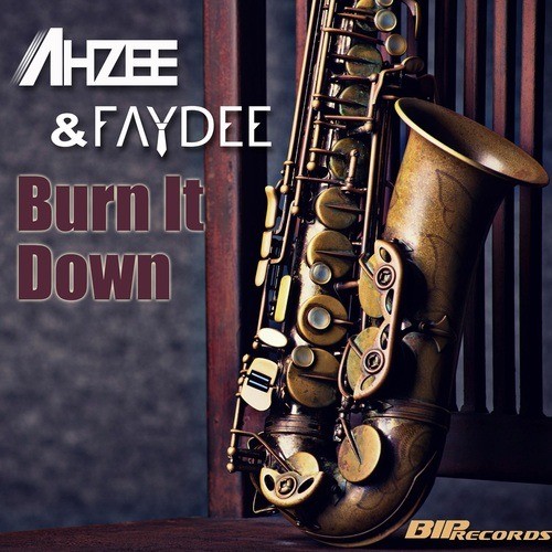 Ahzee & Faydee-Burn It Down