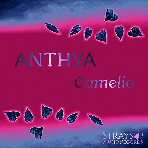 Anthya-Camelia