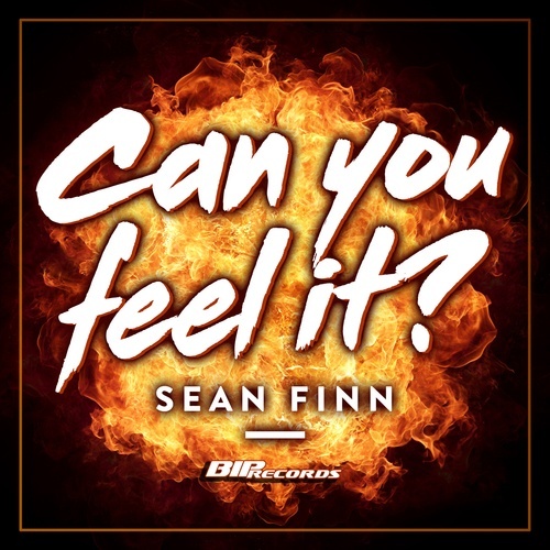 Sean Finn-Can You Feel It