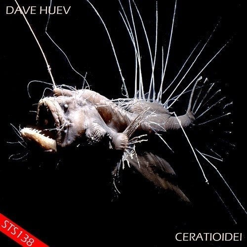 Dave Huev-Ceratioidei