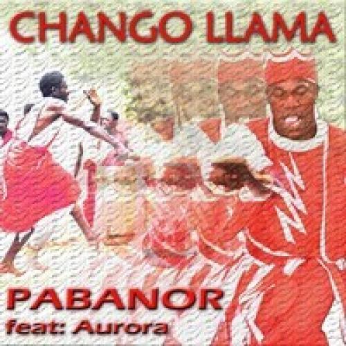 Chango Llama