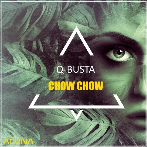 Q-busta-Chow Chow