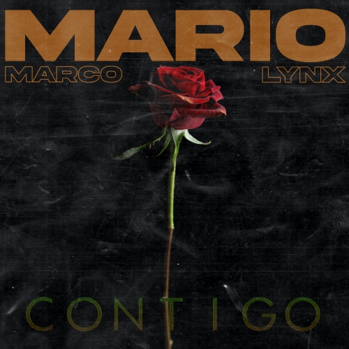 Mario, Marco, Lynx-Contigo