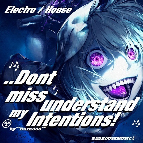 Dont Missunderstand My Intentions! (badhousemusic)