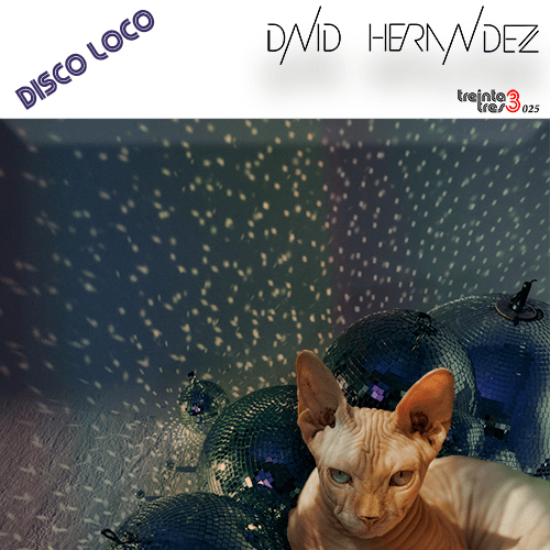 David Hernandez-David Hernandez - Disco Loco