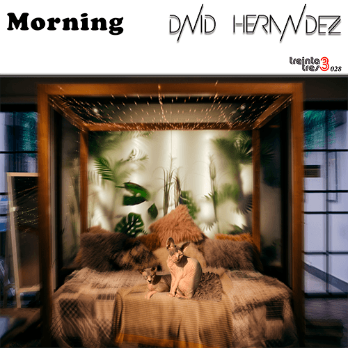 David Hernandez - Morning