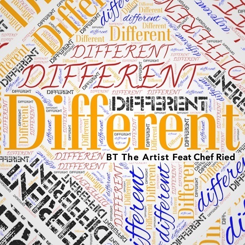 Bt The Artist Feat Chef Ried-Different
