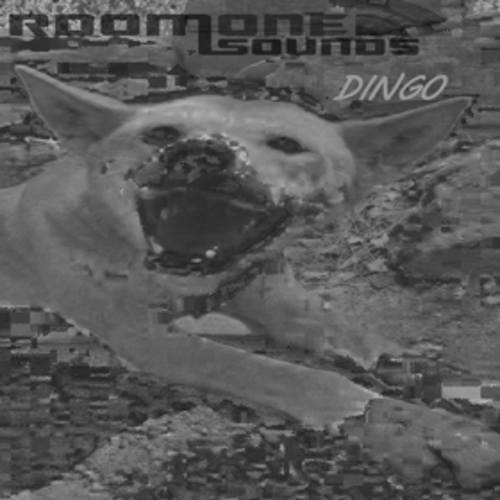 Roomonesounds-Dingo