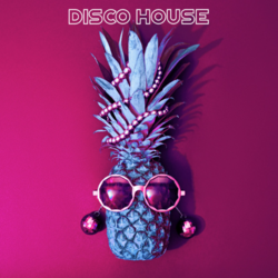 From Disco to House