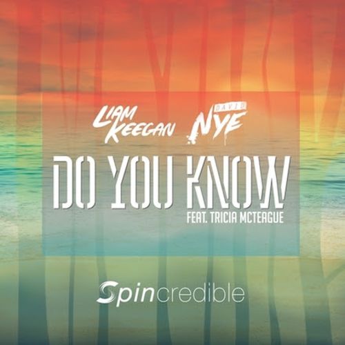 Liam Keegan & Dave Nye Ft. Tricia Mcteague, Kharmatronix, Tommy Mc -Do You Know