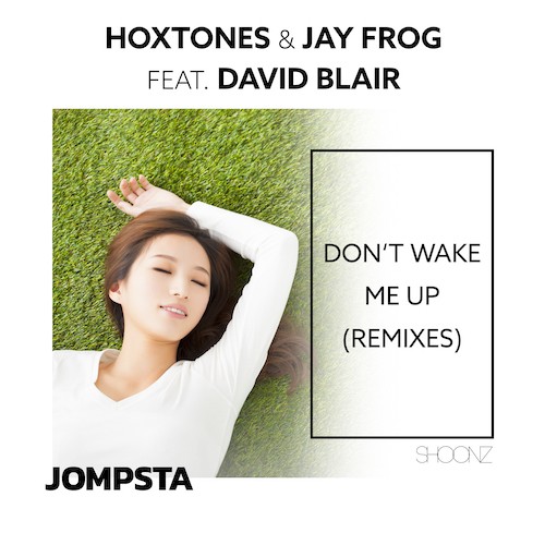 Hoxtones, Jay Frog, David Blair, Sunset, Marco W.-Don't Wake Me Up (remixes)