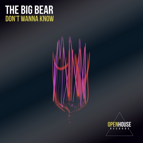 The Big Bear-Don't Wanna Know