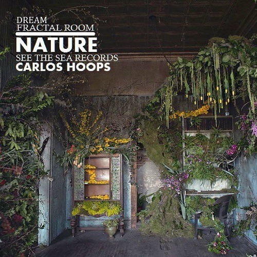 Carlos Hoops-Dream / Fractal Room